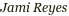 shapeimage_11_link_3