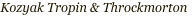 shapeimage_8_link_1